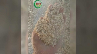 Ασφαλής μηχανή πριονιδιού ξύλου με προστασία υπερφόρτωσης και διακοπή έκτακτης ανάγκης